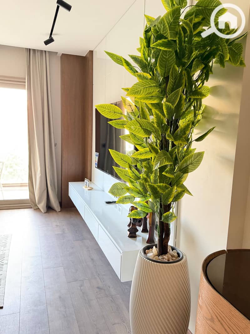 3 tempImageuXkKc0. jpg