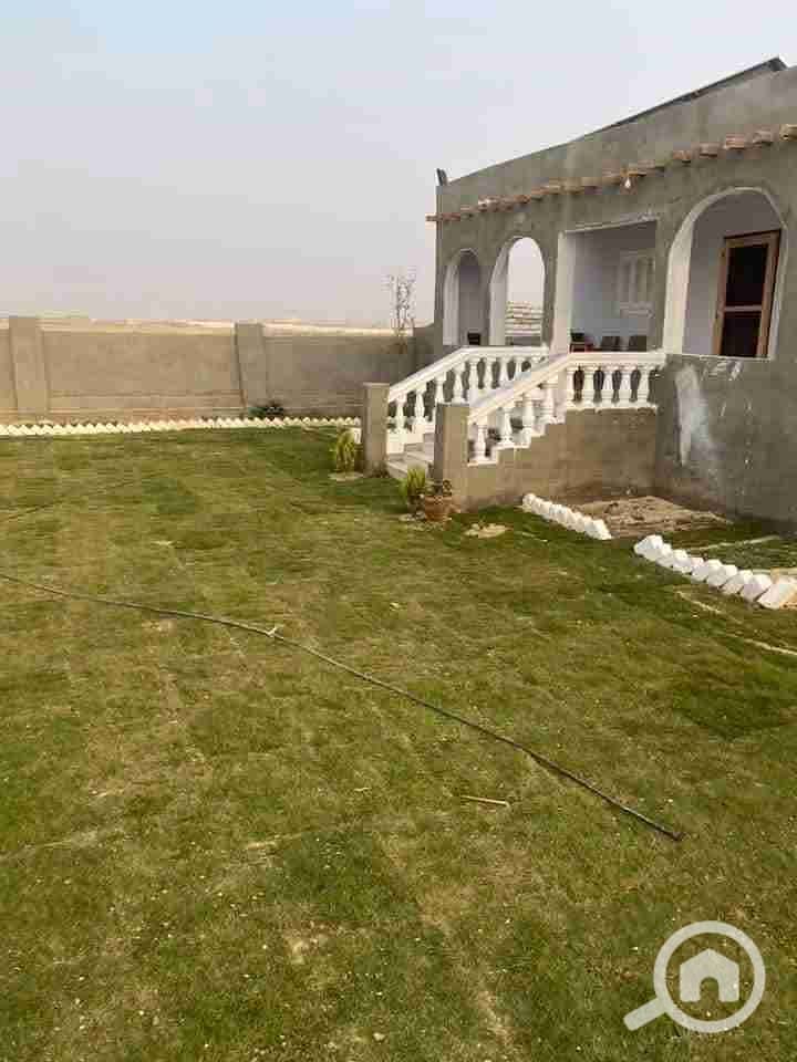 1000065197. jpg 1000065197. jpg