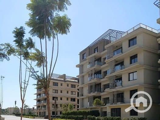 4 588433675_1197608222434967_759962386416347147_n. jpg