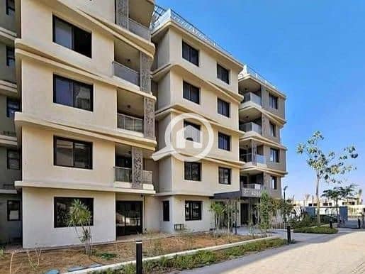 5 588698662_1197473805781742_6496535333724596085_n. jpg