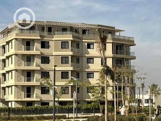 7 588464714_1407510300932247_1751253915687463624_n. jpg