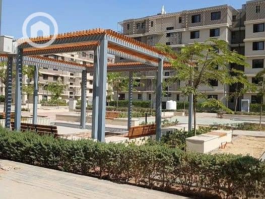 12 586642015_1197609185768204_7075273153424116213_n. jpg