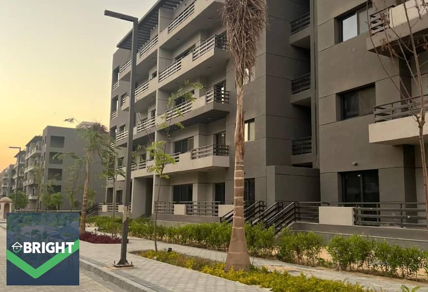 4 original (19). jpg