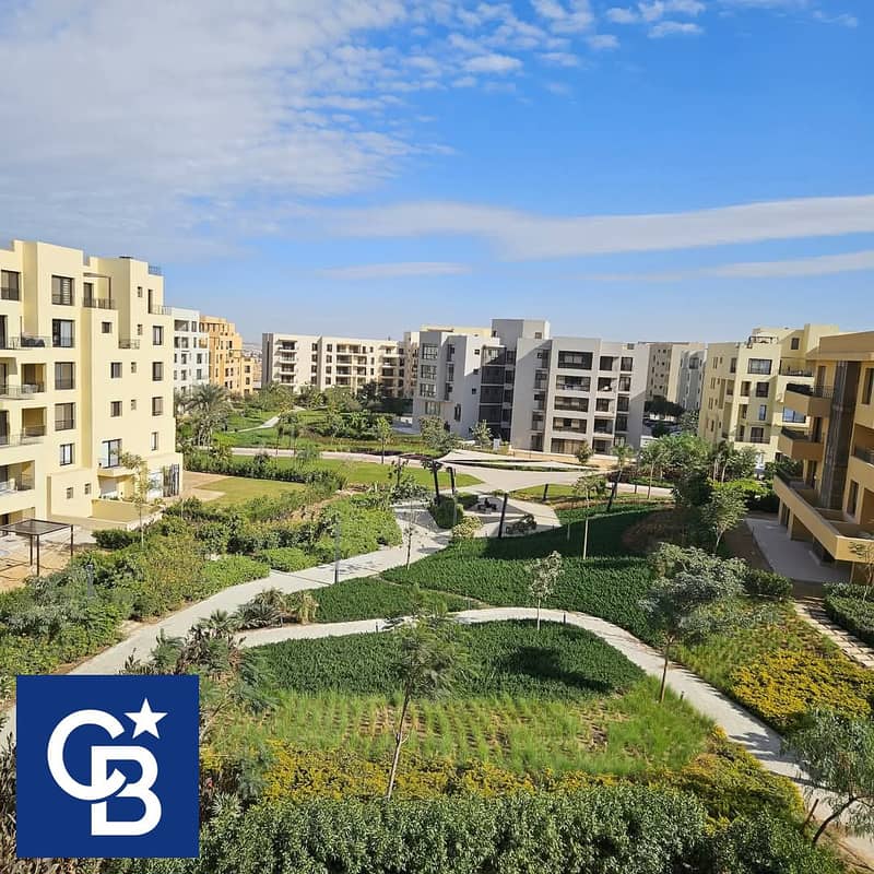 7 615223390_3423348241145738_3988130196624674311_n. jpg