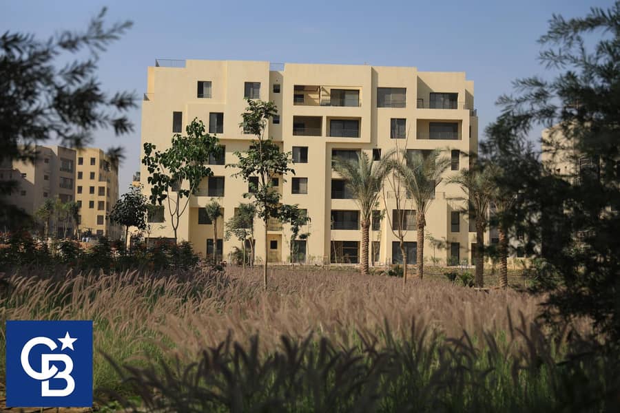 9 616264571_3423348304479065_8746581986105772862_n. jpg