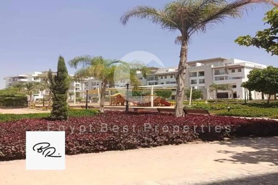 5 4622197-07cc9o. jpg