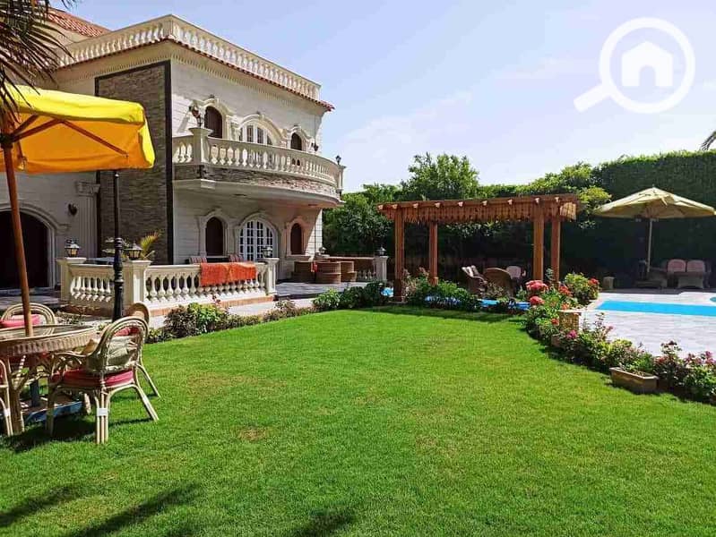 5 received_1884233145262976. jpeg