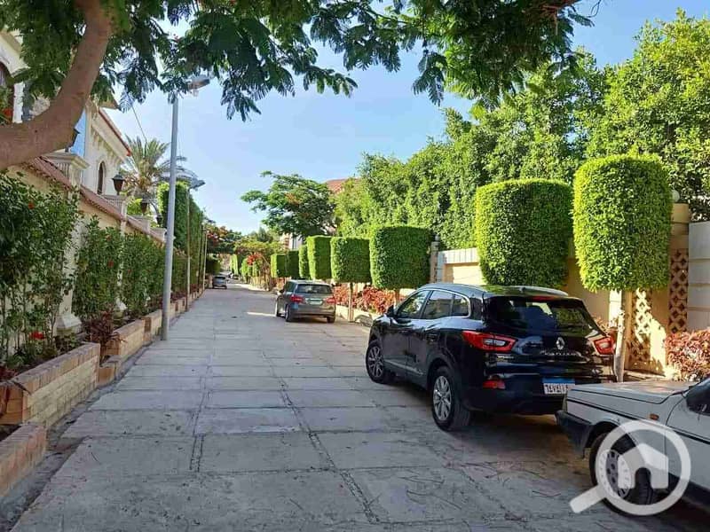 8 received_551164340385419. jpeg