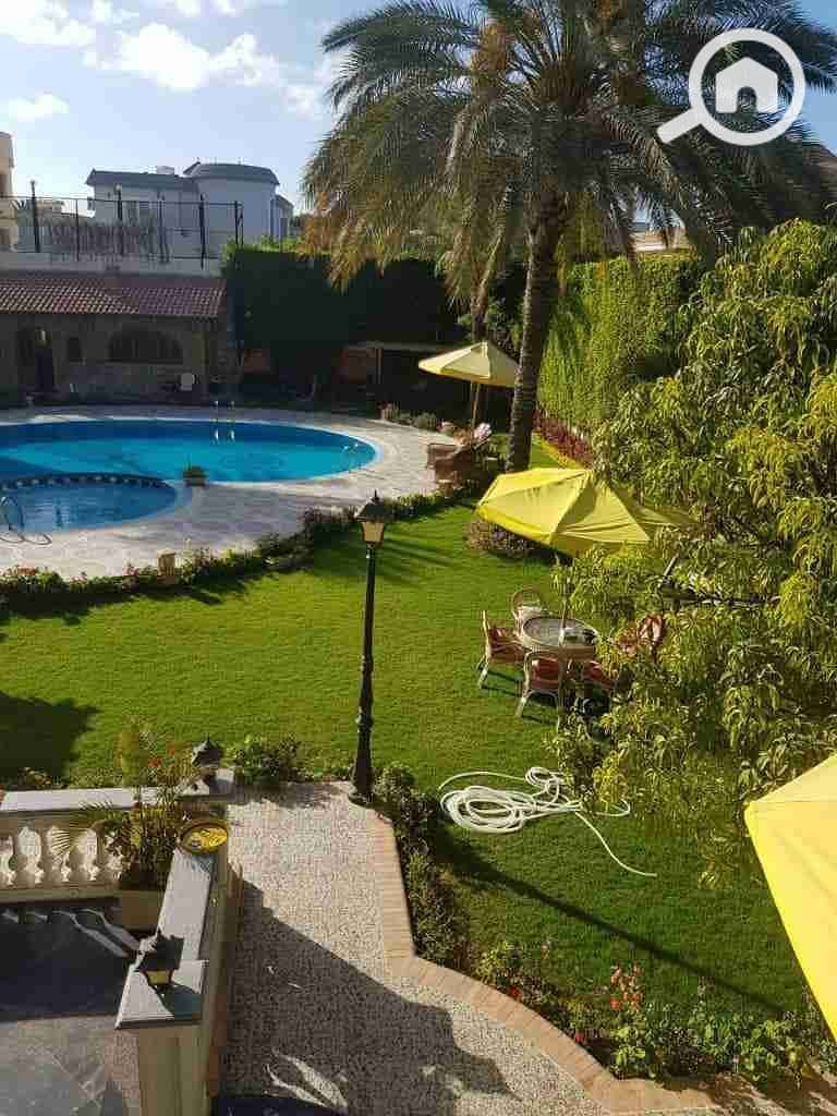 10 received_714953646964349. jpeg