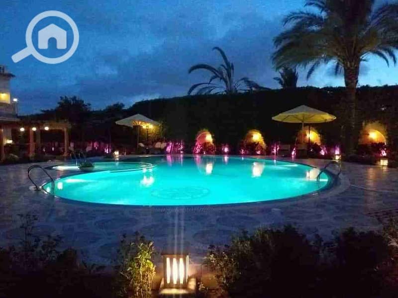 11 received_5968562716498962. jpeg