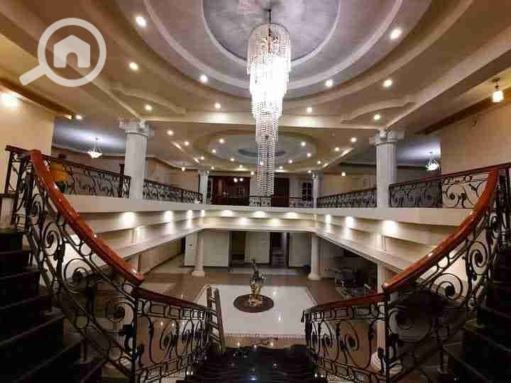 21 received_6117051771662381. jpeg