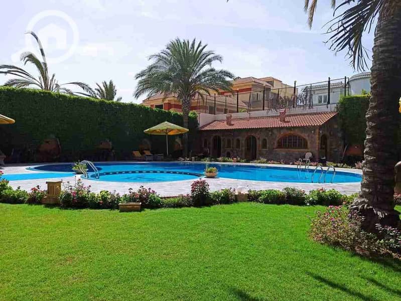 36 received_497864929116179. jpeg