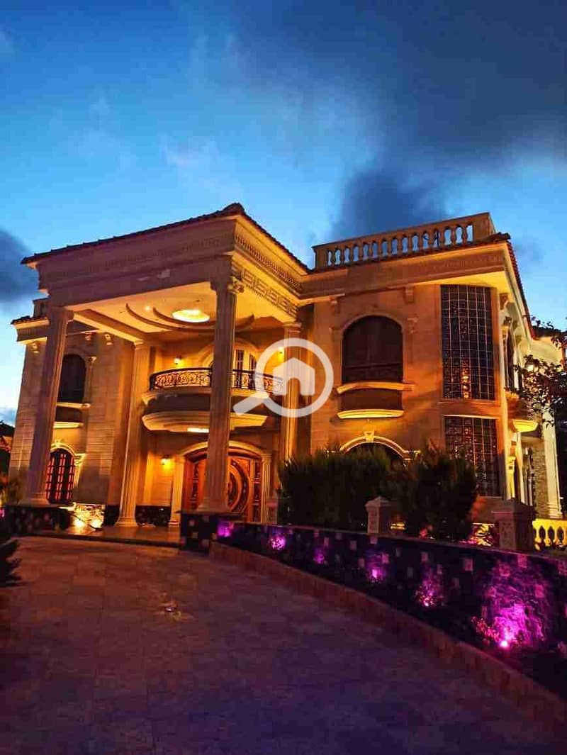 39 received_910994686821192. jpeg