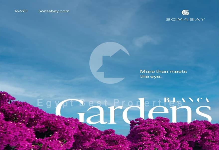 7 IMG-20240304-WA0165. jpg