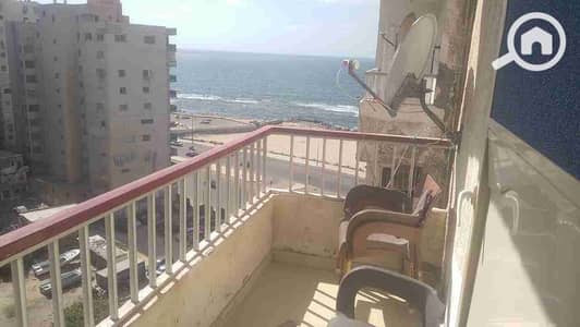 2 Bedroom Flat for Rent in Miami, Alexandria - 1000208771. jpg