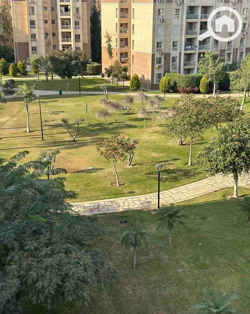 13 IMG_٢٠٢٦٠١٢٩_١٠٥٩٤٢. jpg