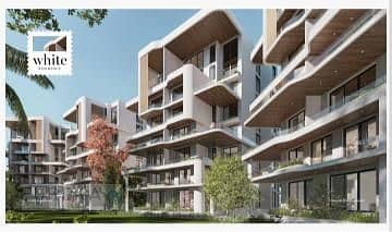 8 WhatsApp Image 2025-05-08 at 7.47. 08 PM. jpg