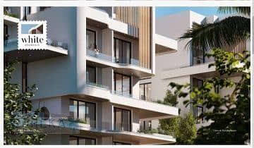 3 54db2bb8-2e4f-41ed-a0cd-22f052ab850d. jpg