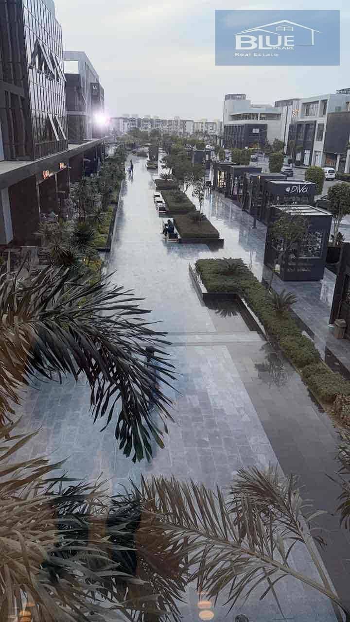 IMG_2384. jpg IMG_2384. jpg