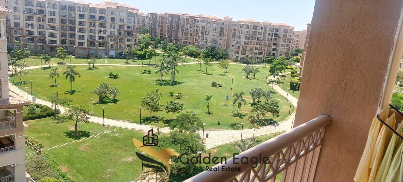 1000242819. jpg 1000242819. jpg