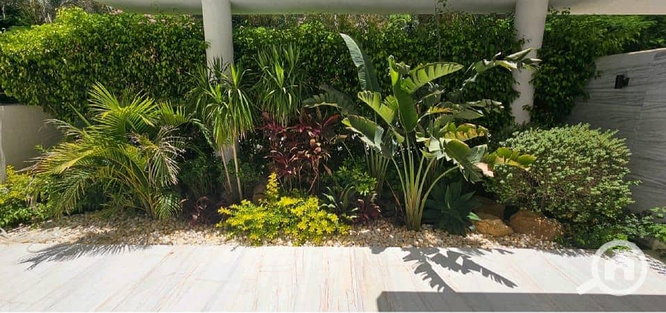 12 WhatsApp Image 2026-01-30 at 1.08. 58 AM (6). jpeg