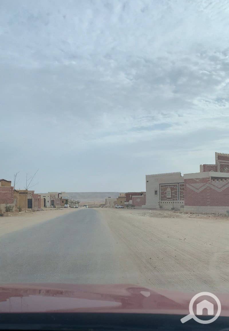 2 photo_2026-01-30_01-56-30. jpg