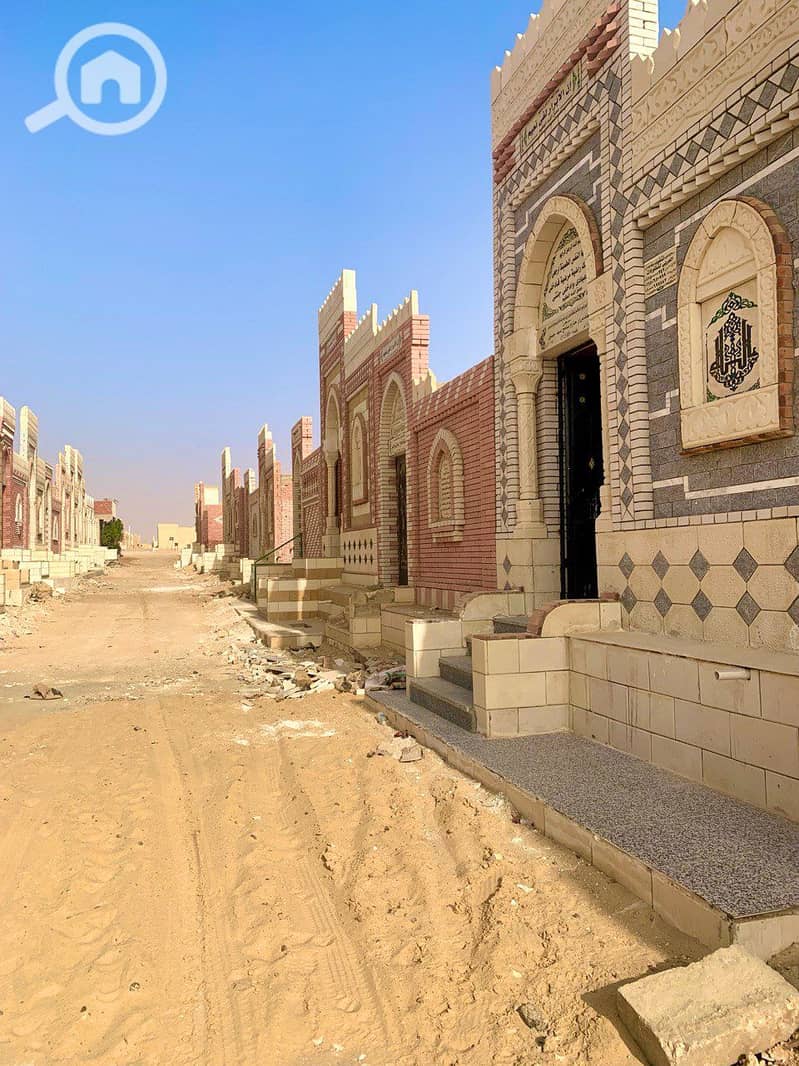 5 photo_2026-01-30_01-56-32. jpg