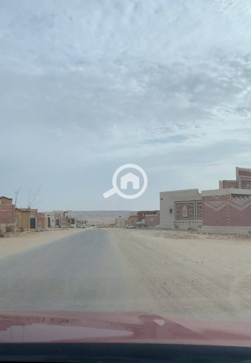 4 photo_2026-01-30_01-56-30. jpg