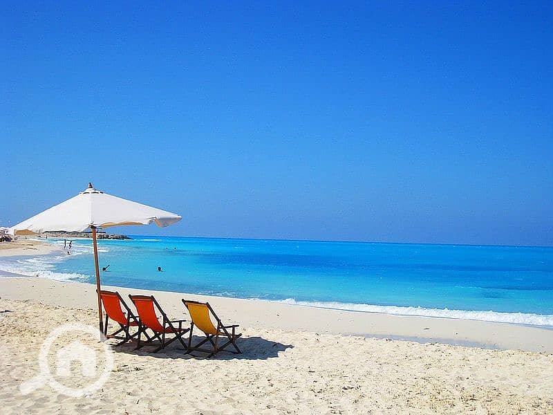 10 800px-Marina_egypt_haddara - Copy. jpg