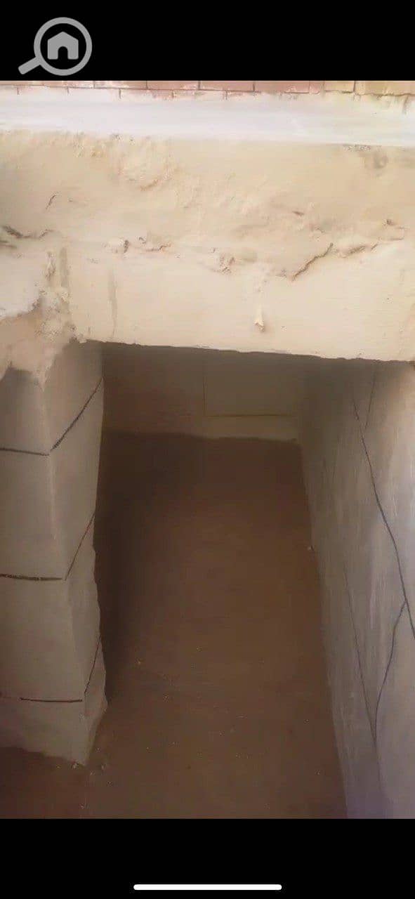 3 photo_2026-01-30_02-45-57. jpg