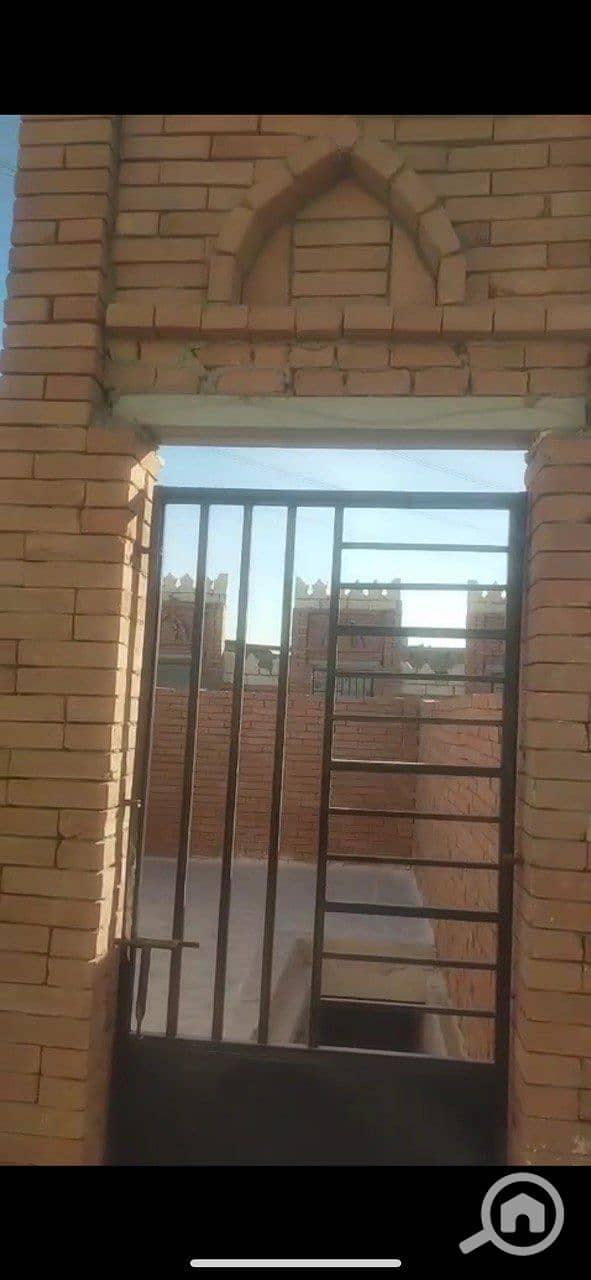 5 photo_2026-01-30_02-45-51. jpg