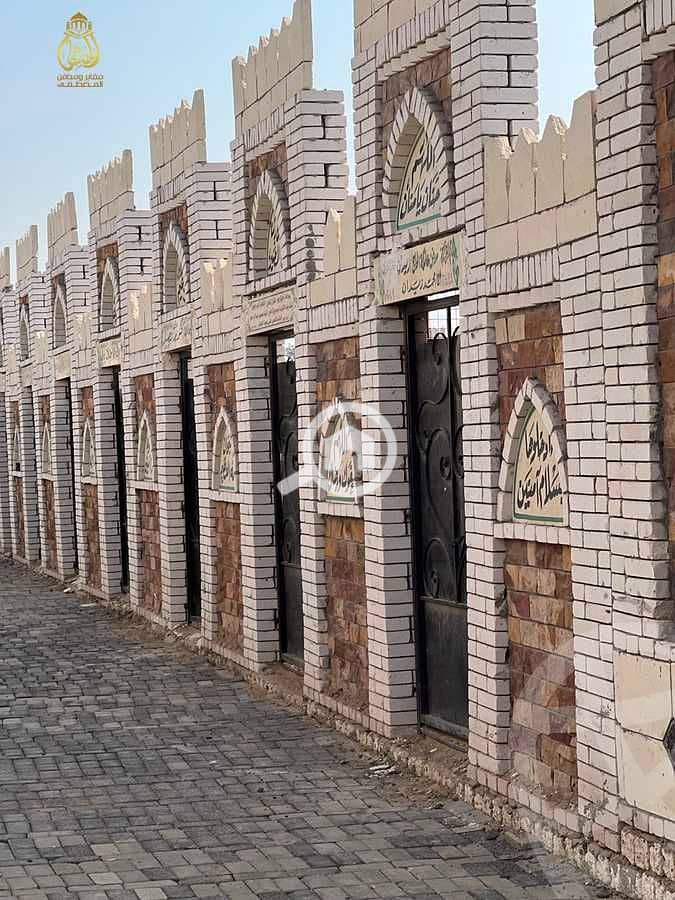 6 65e8e353881ff732063186. jpeg