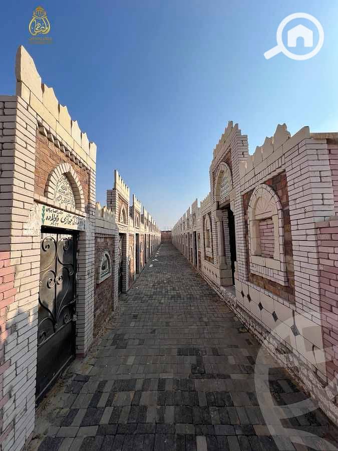 7 65e8e3536fc22781906577. jpeg