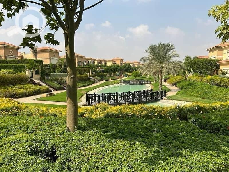 5 31539fc7-f0de-46cd-80df-adf9e189ceff. jpg