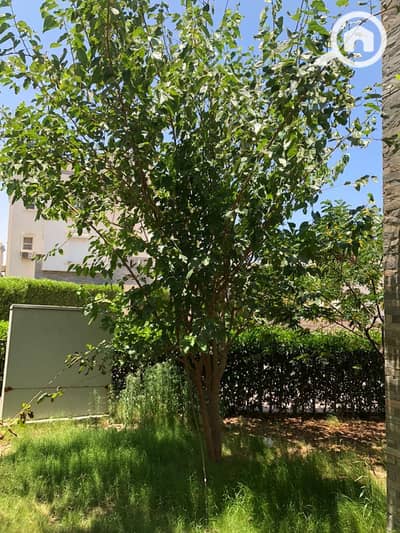 3 Bedroom Chalet for Sale in North Coast, Matruh - WhatsApp Image 2026-01-21 at 11.57. 16 PM (1). jpeg