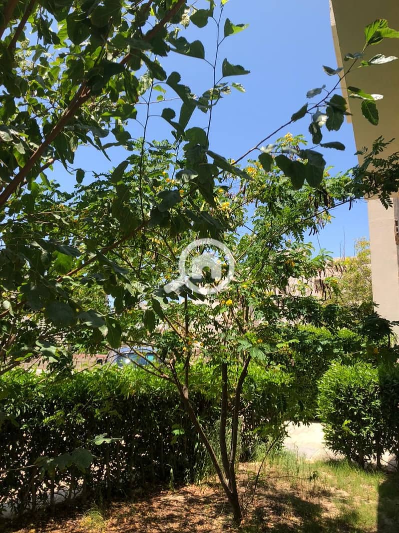 WhatsApp Image 2026-01-21 at 11.54. 48 PM (1). jpeg WhatsApp Image 2026-01-21 at 11.54. 48 PM (1). jpeg