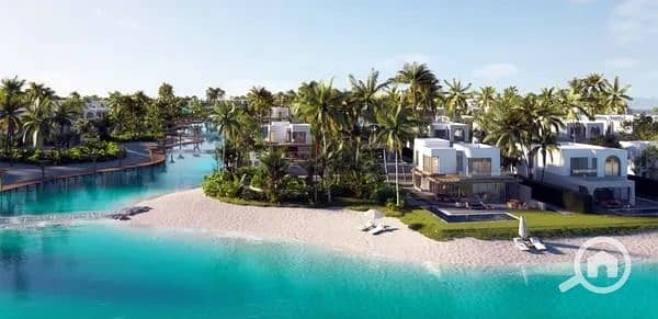 11 imgi_33_medium. jpeg