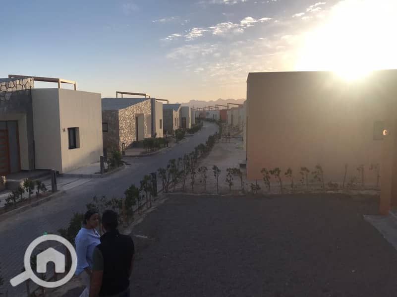 10 WhatsApp Image 2021-03-22 at 10.45. 15 AM. jpeg