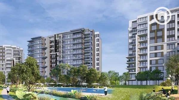 8 imgi_21_medium. jpeg