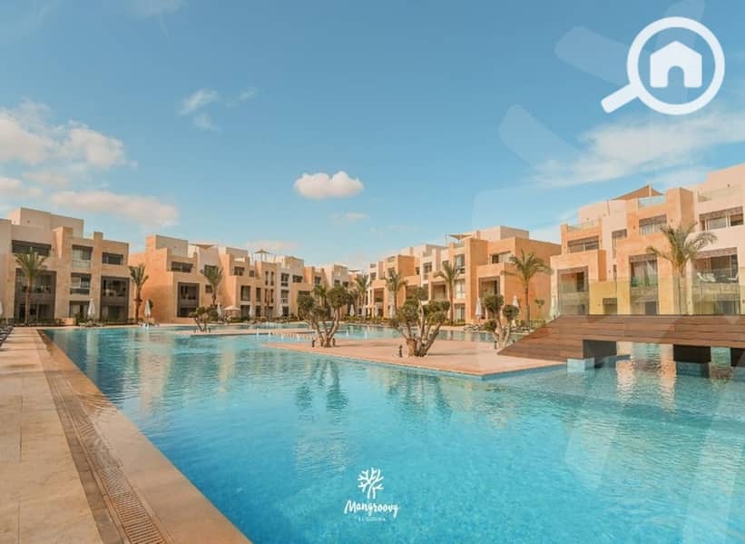 13 caf42989-4017-4b55-b74c-f90731dde0fc. jpg