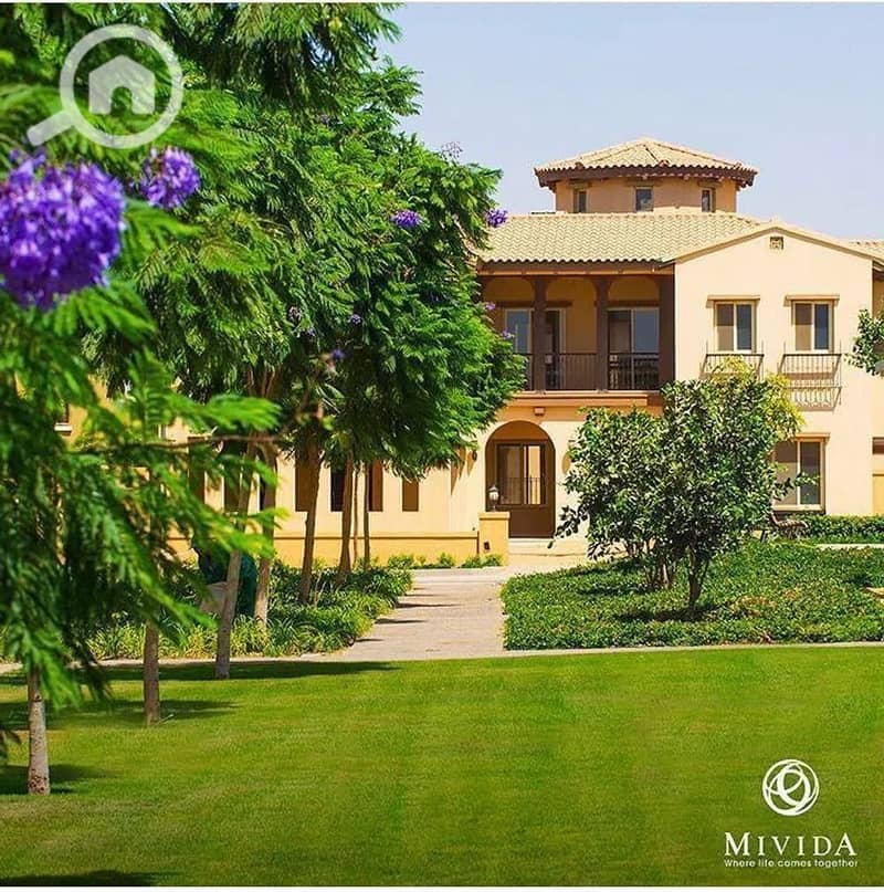 6 imgi_187_high. jpeg