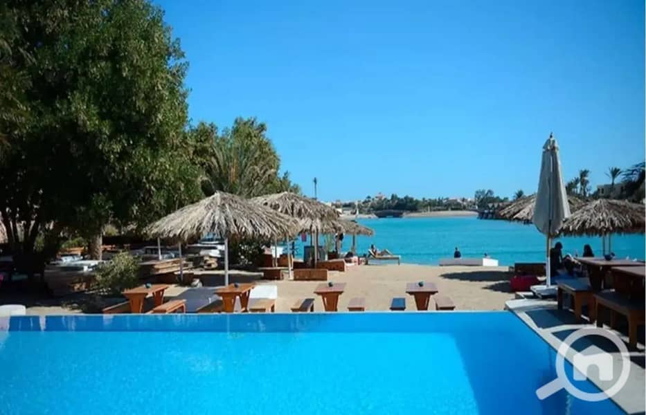 12 5489213-55cb9o. jpg