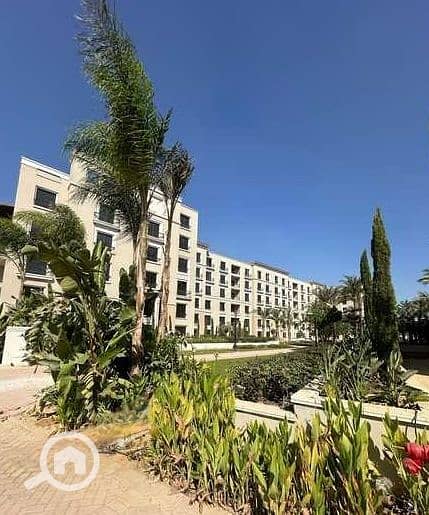 2 HHpdriqMJYC8OfLE7Bs0dIrGwxYsb5frTQBWPrM5_edit_94089706723784. jpg