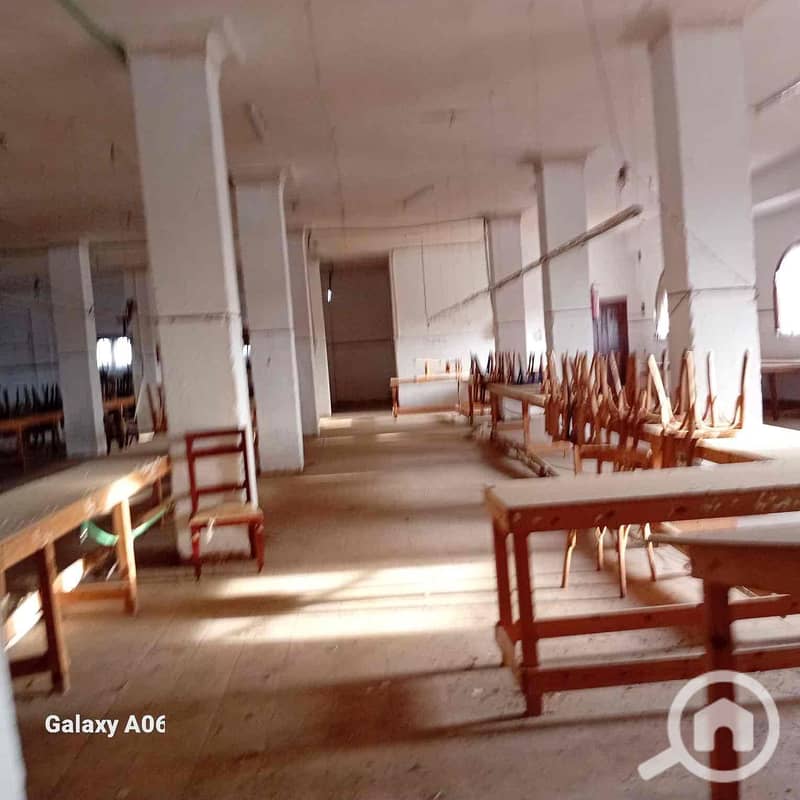 5 f4b7a009-1afb-4414-82ca-c020b3ed56ff. jpg