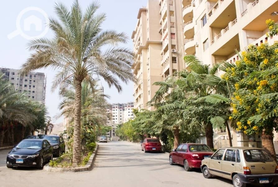 2 general palm (1). jpeg