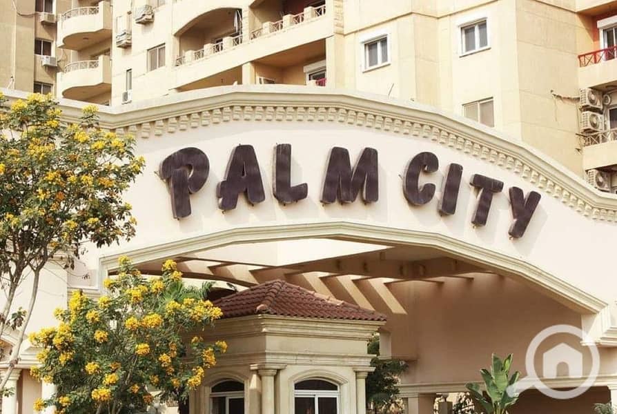 4 general palm (3). jpeg