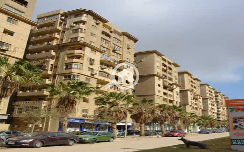 5 Screenshot 2023-12-10 115026_800x500. jpg