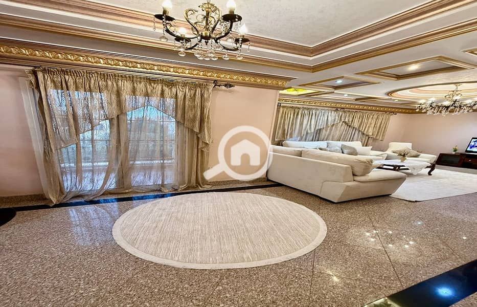 13 281d9596-92b3-4bd5-bb92-353b8cea290a. jpg