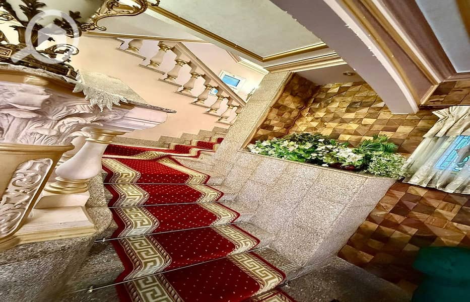 37 d3e087a9-25b8-432f-8e3d-2fe925363d39. jpg