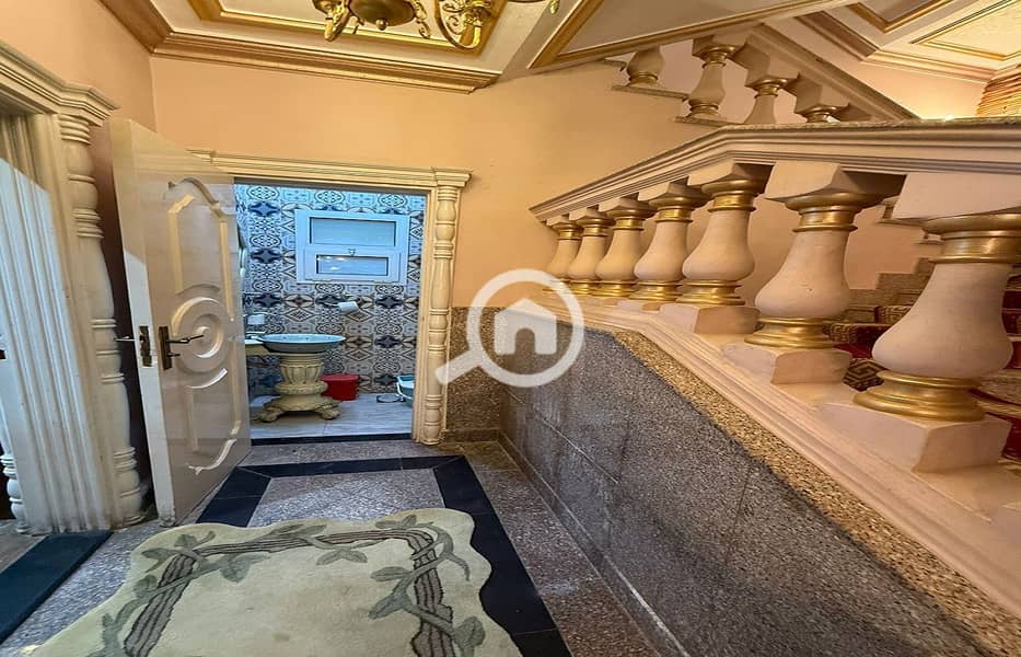 43 d0fae173-f3be-46e1-a88d-7ef5c8383953 (1). jpg